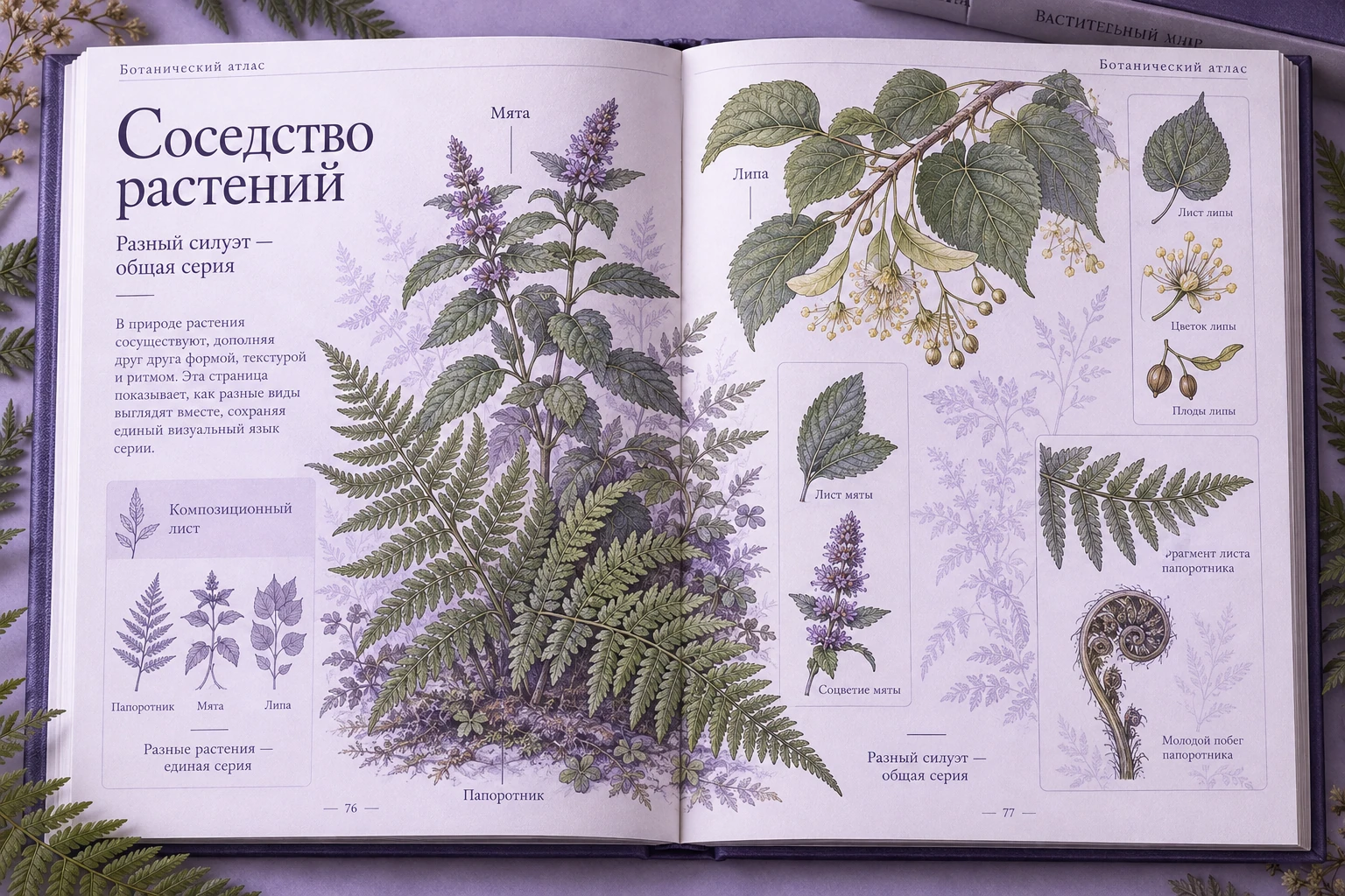 Ботанический атлас: Соседство растений