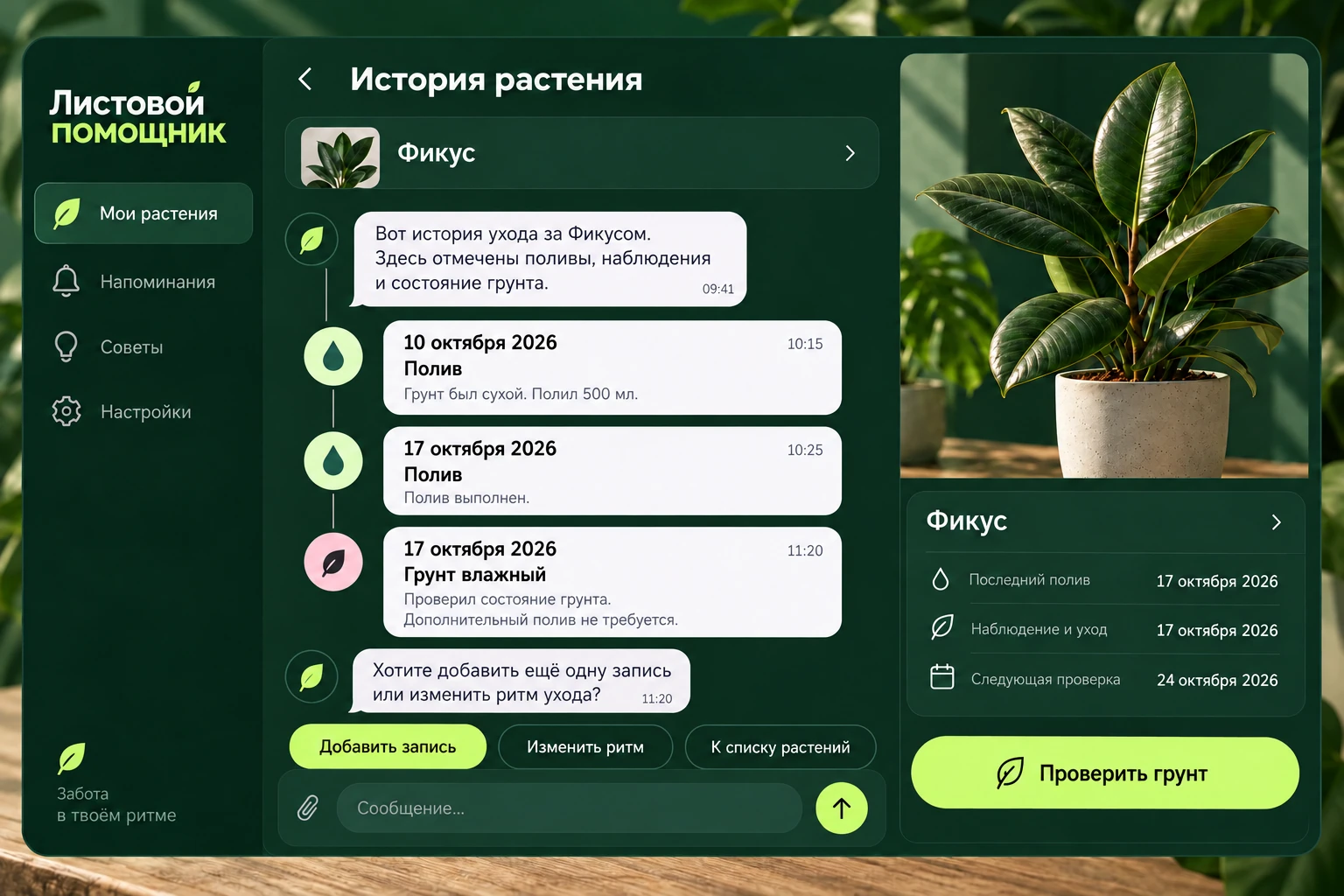 Листовой помощник: История растения