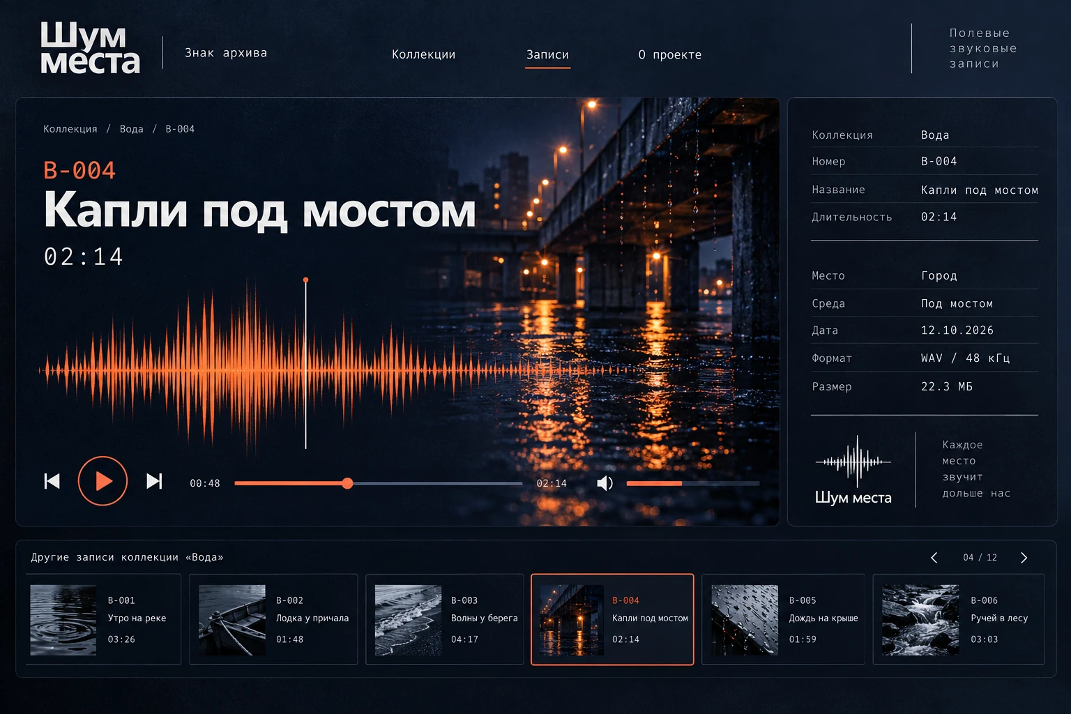 Шум места: Карточка записи